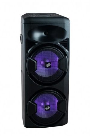 ALTAVOZ 500W LARRYHOUSE